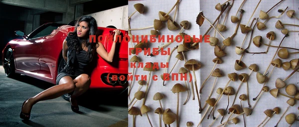 хмурый Абдулино