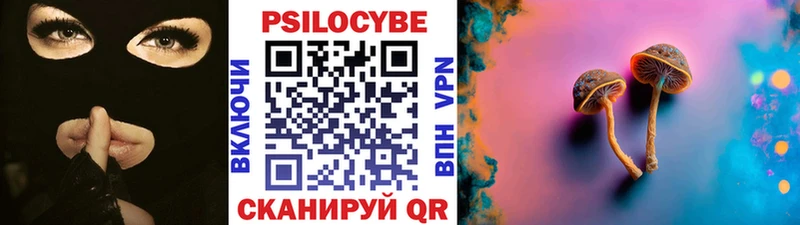 Псилоцибиновые грибы Psilocybine cubensis  Усть-Лабинск 
