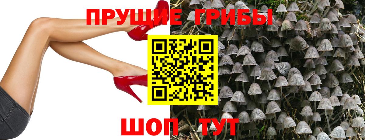 Галлюциногенные грибы ЛСД  Псилоцибиновые грибы ЛСД  Усть-Лабинск  Вход с VPN 